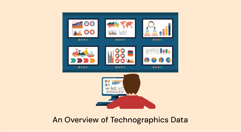An Overview of Technographics Data